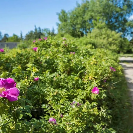 0219-romo-e-jensensvej-9-a Holiday home *
