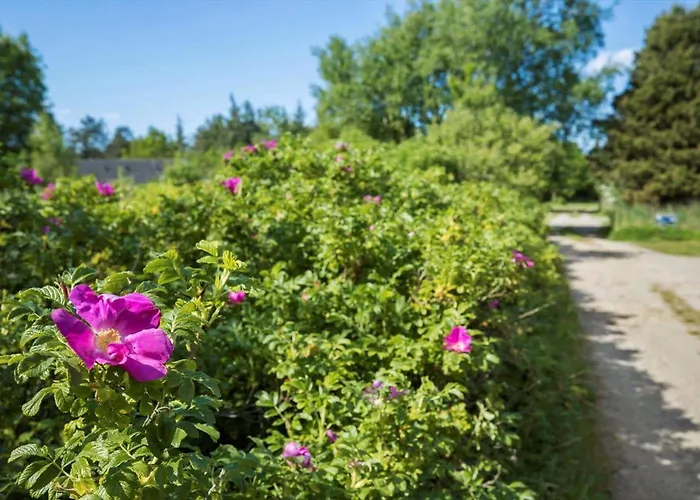 0219-romo-e-jensensvej-9-a Сasa de vacaciones *